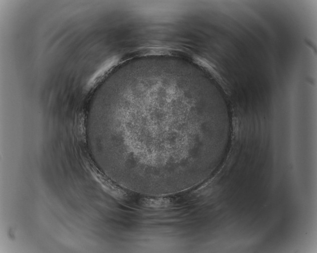 X0000103431403200809191650
