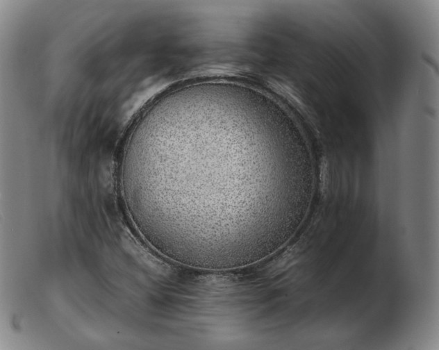 X0000103431404200809191650