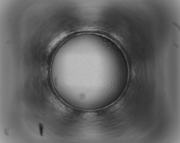 X0000103431406200809191650
