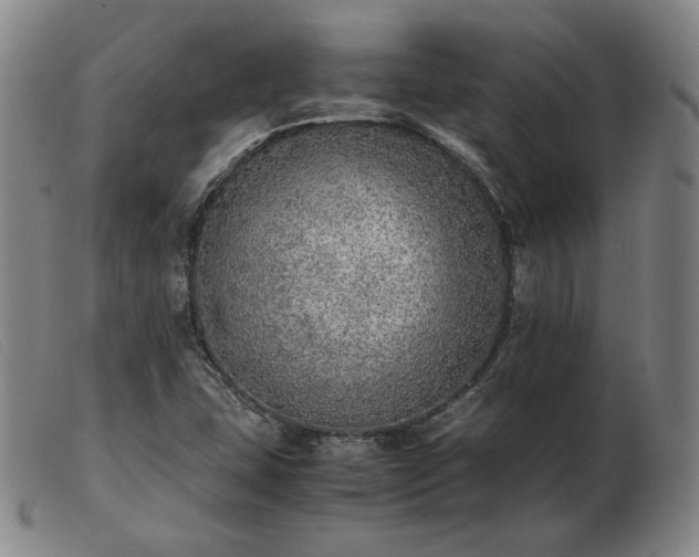X0000103431407200809191650