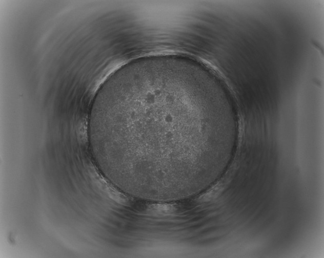 X0000103431409200809191650