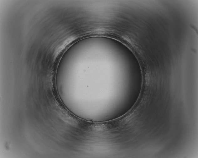 X0000103431410200809191650