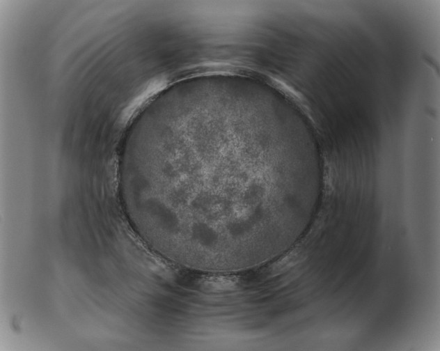 X0000103431411200809191650