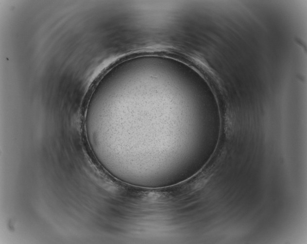 X0000103431412200809191650
