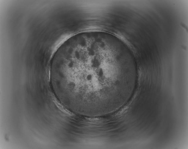 X0000103431413200809191650