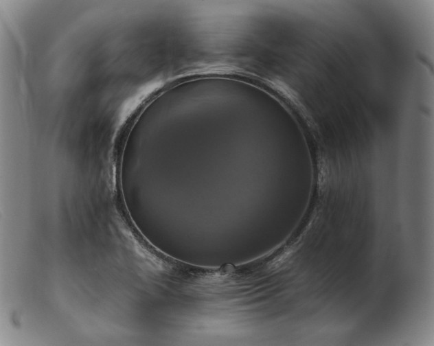 X0000103431414200809191650