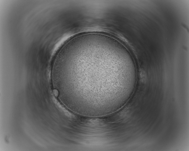 X0000103431416200809191650