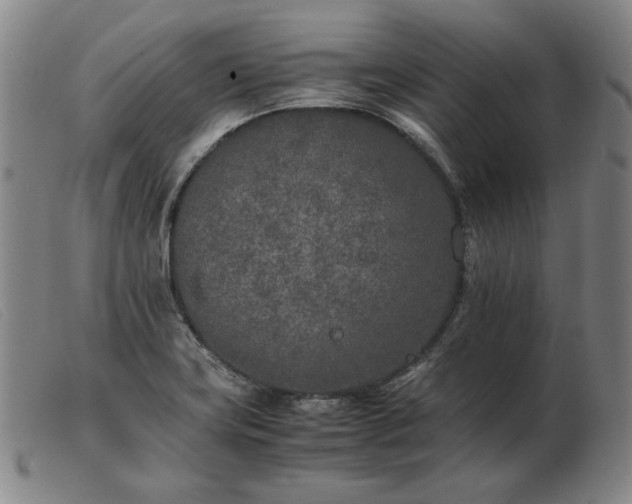 X0000103431419200809191650