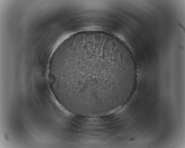 X0000103431421200809191650
