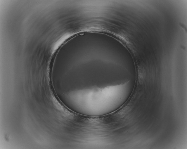 X0000103431422200809191650