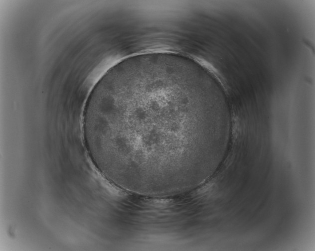 X0000103431423200809191650