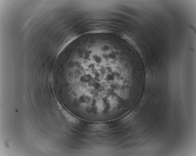 X0000103431425200809191650