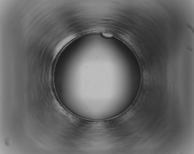 X0000103431426200809191650