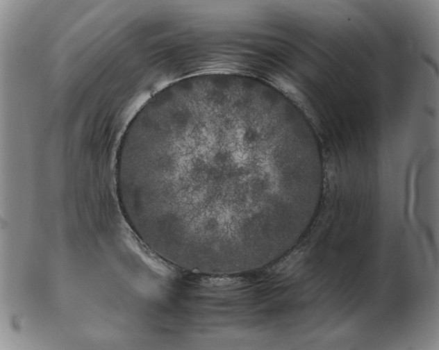 X0000103431427200809191650