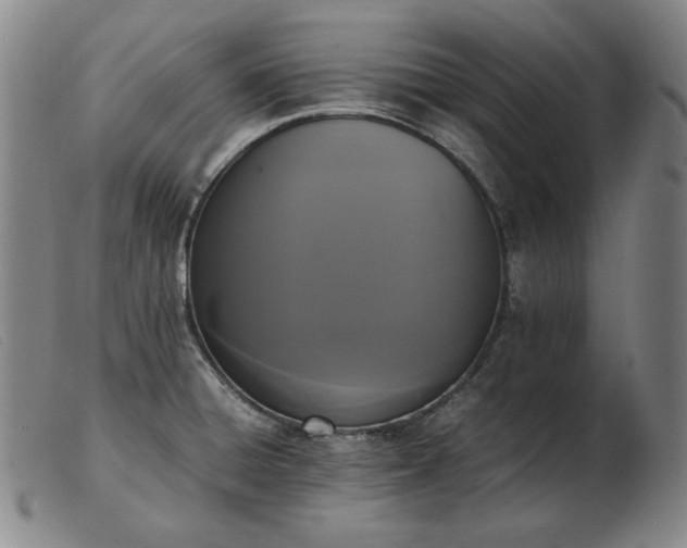 X0000103431428200809191650