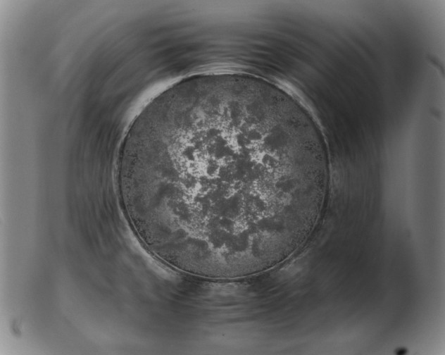 X0000103431429200809191650