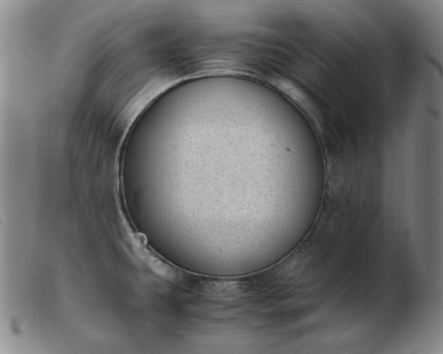X0000103431431200809191650