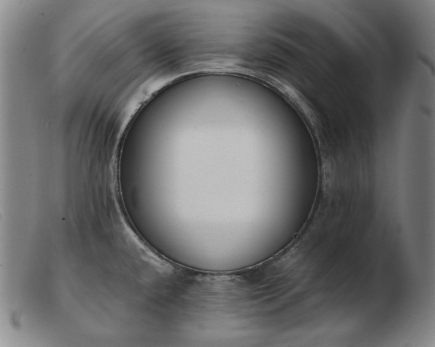 X0000103431432200809191650