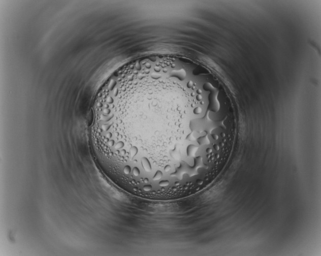 X0000103431433200809191650