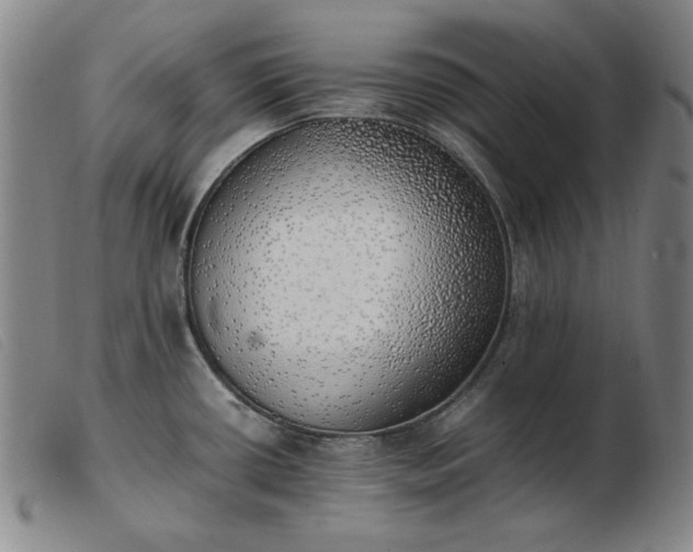 X0000103431434200809191650