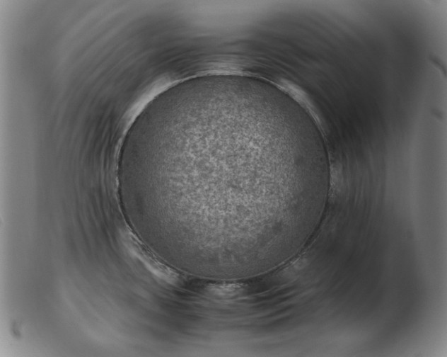 X0000103431435200809191650