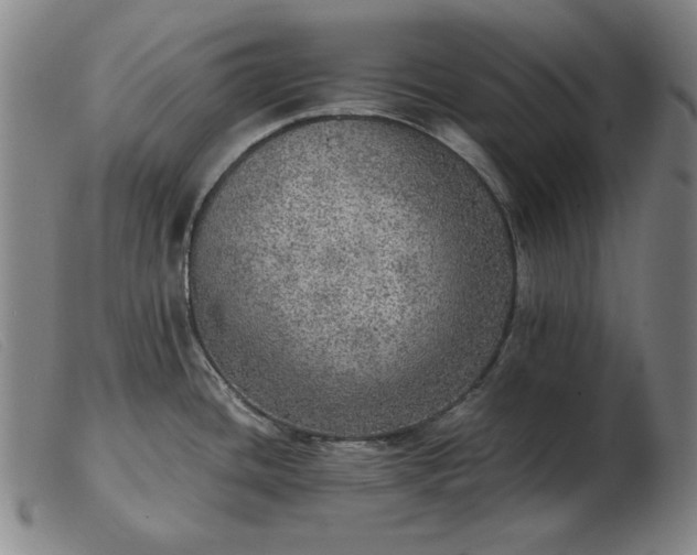 X0000103431436200809191650