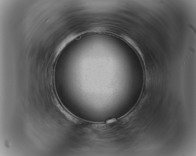 X0000103431437200809191650