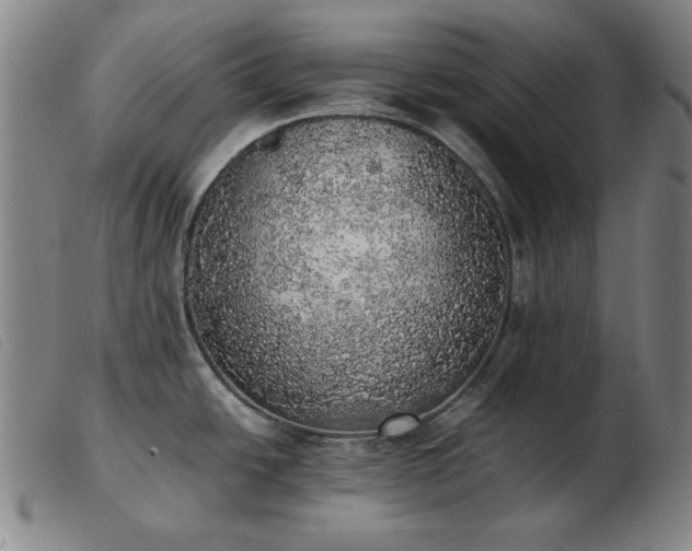 X0000103431438200809191650