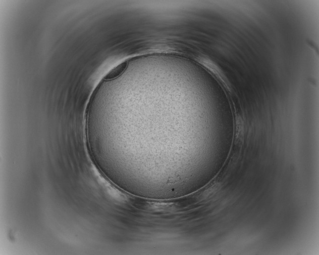 X0000103431439200809191650