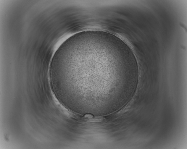 X0000103431440200809191650