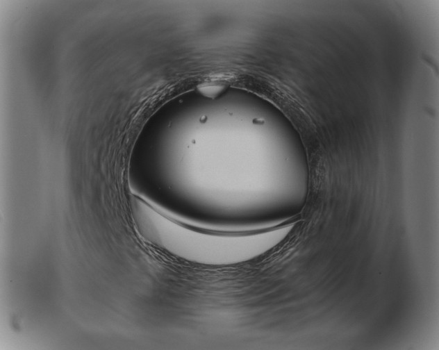 X0000103431441200809191650