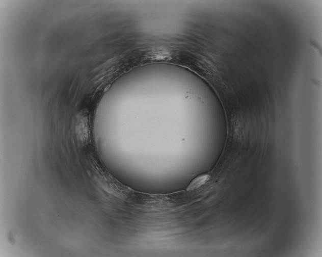 X0000103431442200809191650