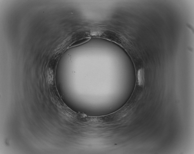 X0000103431443200809191650
