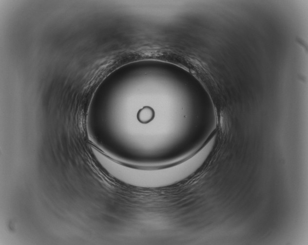 X0000103431444200809191650