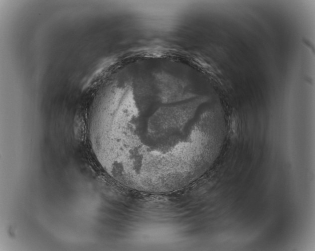X0000103431446200809191649