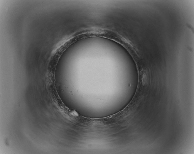 X0000103431448200809191649