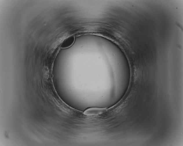 X0000103431449200809191649