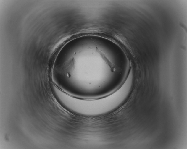 X0000103431452200809191649