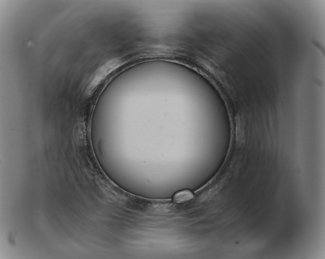 X0000103431453200809191649
