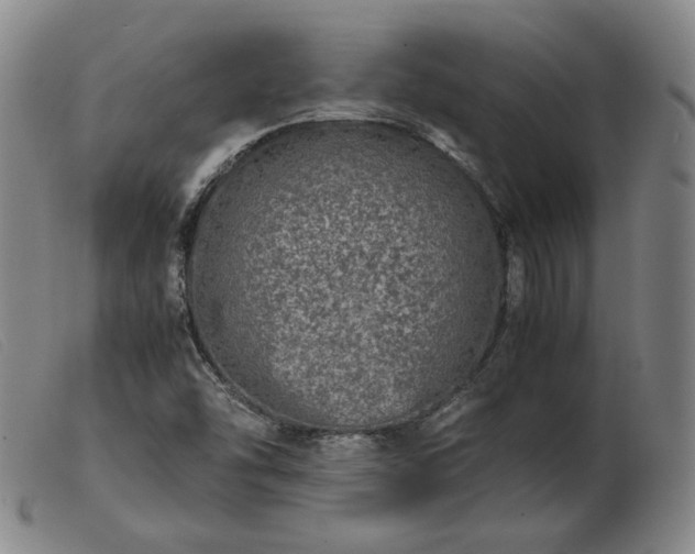 X0000103431454200809191649