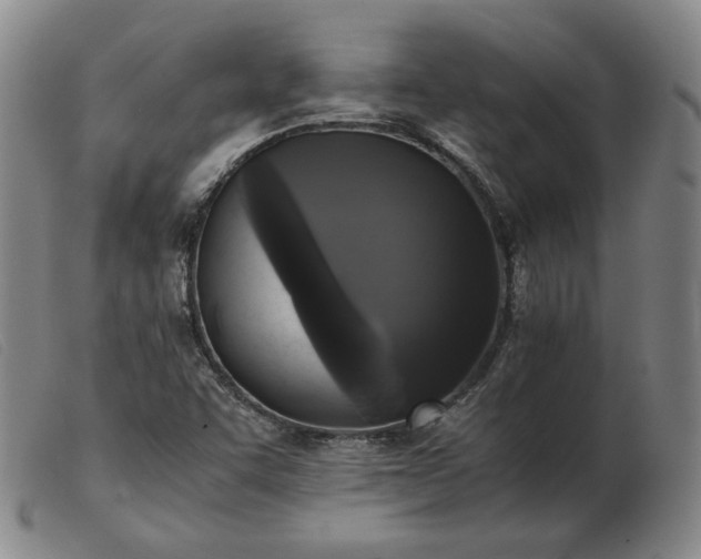 X0000103431455200809191649