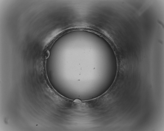 X0000103431456200809191649