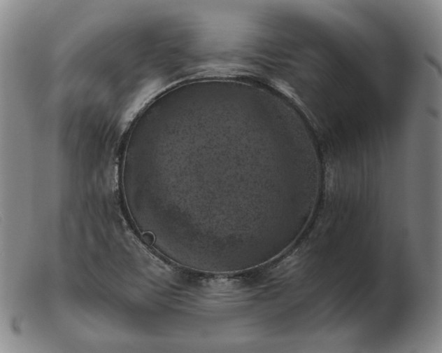 X0000103431459200809191649