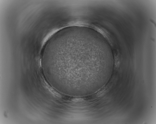 X0000103431462200809191649