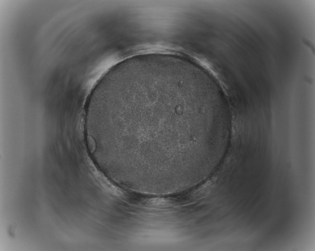X0000103431463200809191649