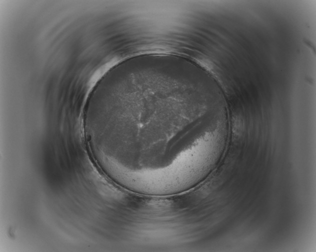 X0000103431466200809191649