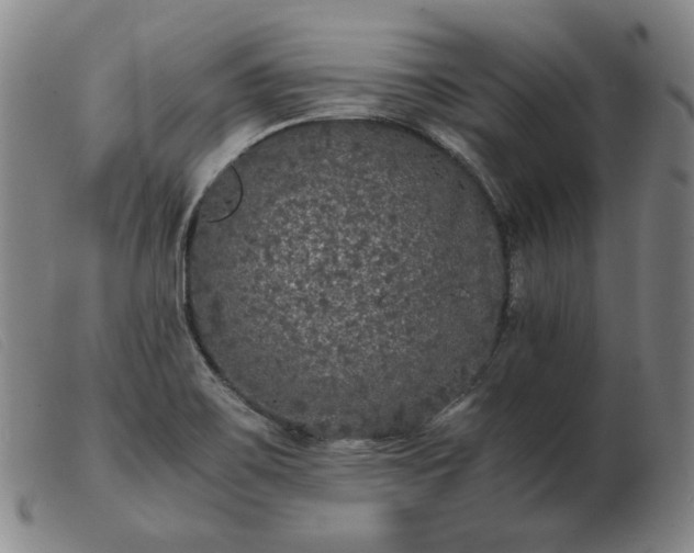 X0000103431467200809191649