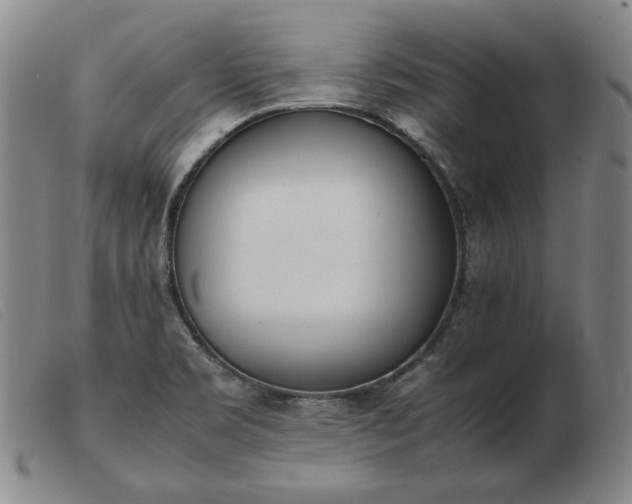 X0000103431469200809191649