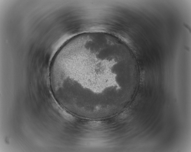 X0000103431470200809191649