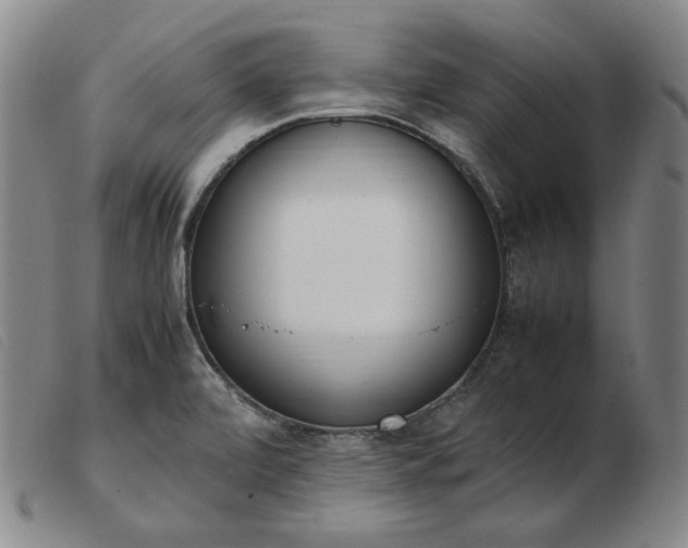 X0000103431472200809191649